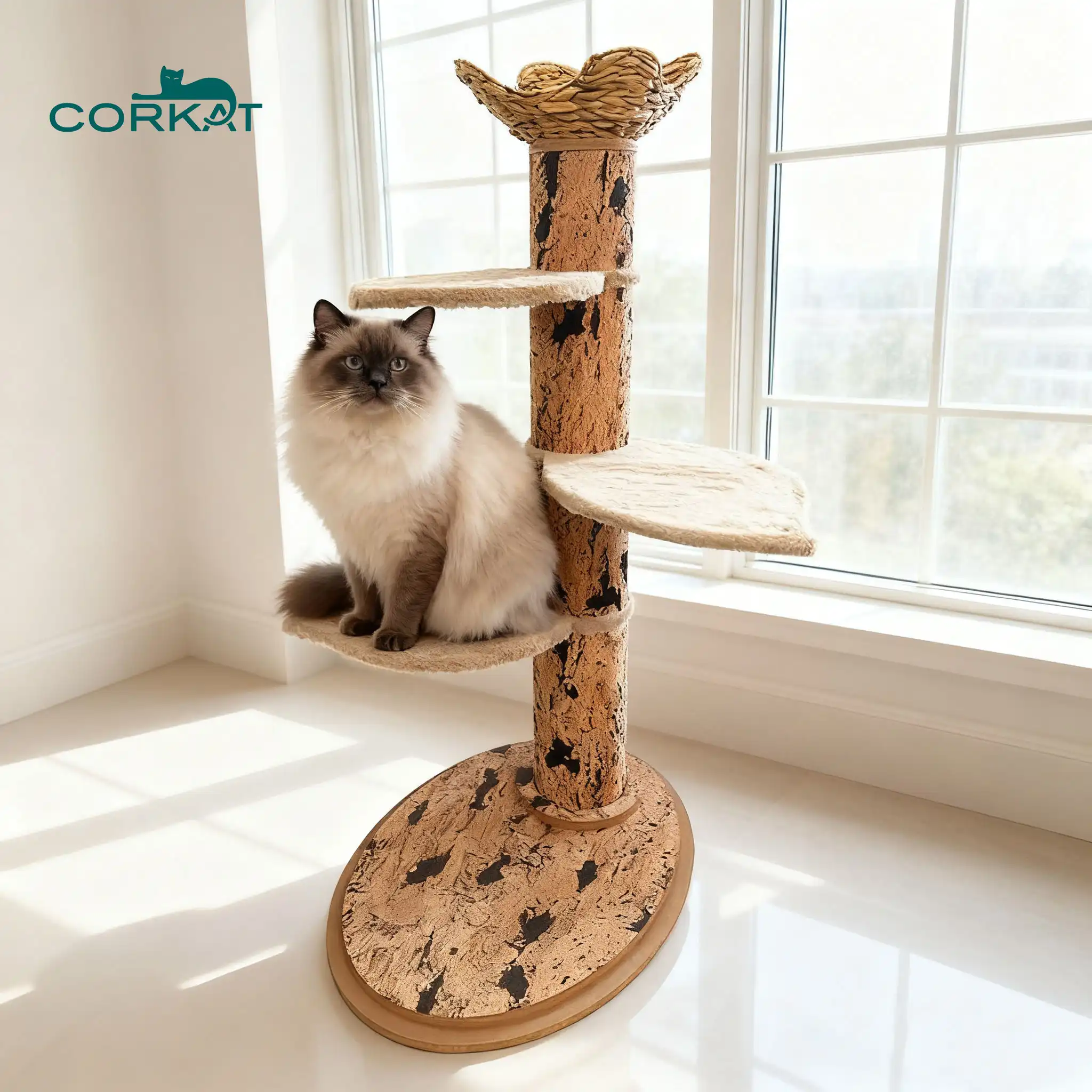cat climbing tower